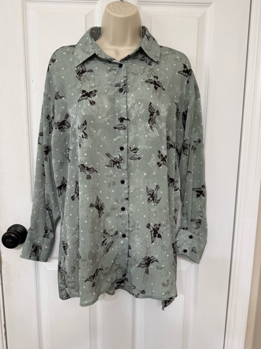 Zara Basic Bird Print Button Down Blouse Sage Green Polka Dot Size M - Picture 2 of 13